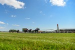 080726-Race 6-Velvet Rhythm-6219