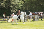 SBM_07058