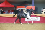 SBM_09641