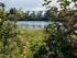 Graham Wiffen - Lymington River - Undershore Rd