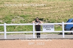 BPP_1653