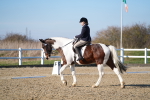 SBM_004399