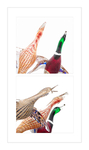 WATERFOWL DIPTYCH - MURANO
