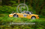 Hillclimb_10-4-2023_CAR-80