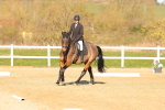SBM_003775