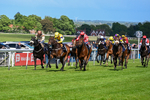 120526-Race 4-Dandy Dinmont-8263