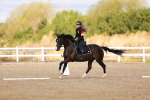 SBM_009659