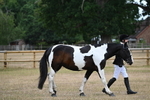 WJ6_7828