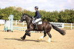 SBM_006416