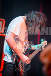 Pigsx7-84