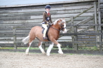 SBM_006269