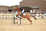 SBM_008728