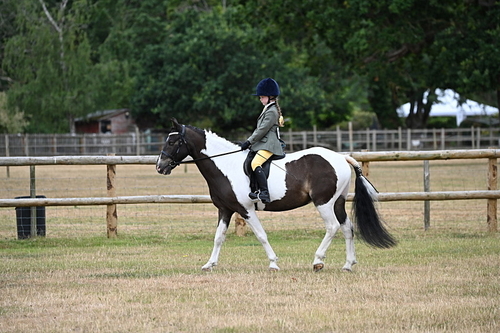 WJ6_3783