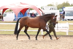 SBM_15341
