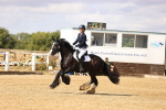 SBM_006411