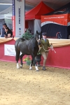 SBM_04090