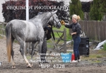 BPP_4328