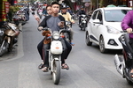 VIET_1225