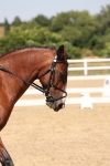 SBM_005614