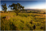 The Antrim Plains (IMG0369)