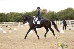 SBM_006909
