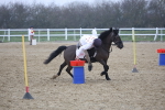 SBM_001135
