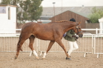 SBM_07750