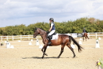 SBM_004206