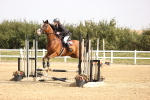 SBM_001237