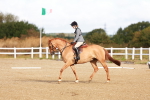 SBM_009225