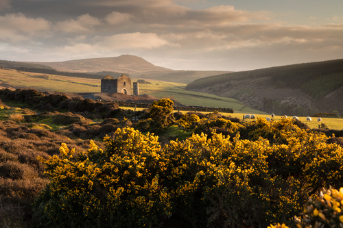 The remains of Beckwith's Mine in the glorious evening light.