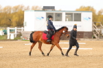 SBM_000254