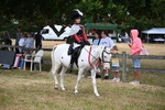 WJ6_4615