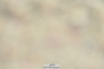 230630A-113849-01670