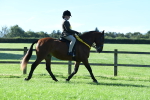 SBM_35566