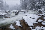 Winter's Rush