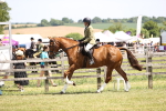 SBM_15081