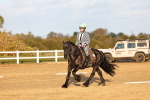 SBM_003286
