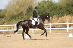 SBM_008529