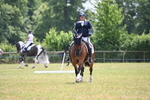 WJ6_7786