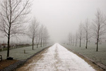Yeomanry Avenue