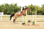 Class 20 - Senior Newcomers - 1.10m portfolio