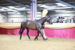 SBM_00256