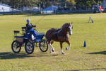 Harness Driving Challenge 33. 0A3A9500