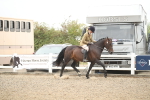 SBM_18435