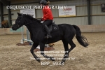 BPP_5933