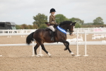 SBM_02035