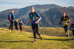 Sale Fell-445