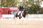 SBM_06385