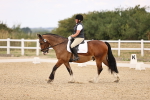 SBM_008672